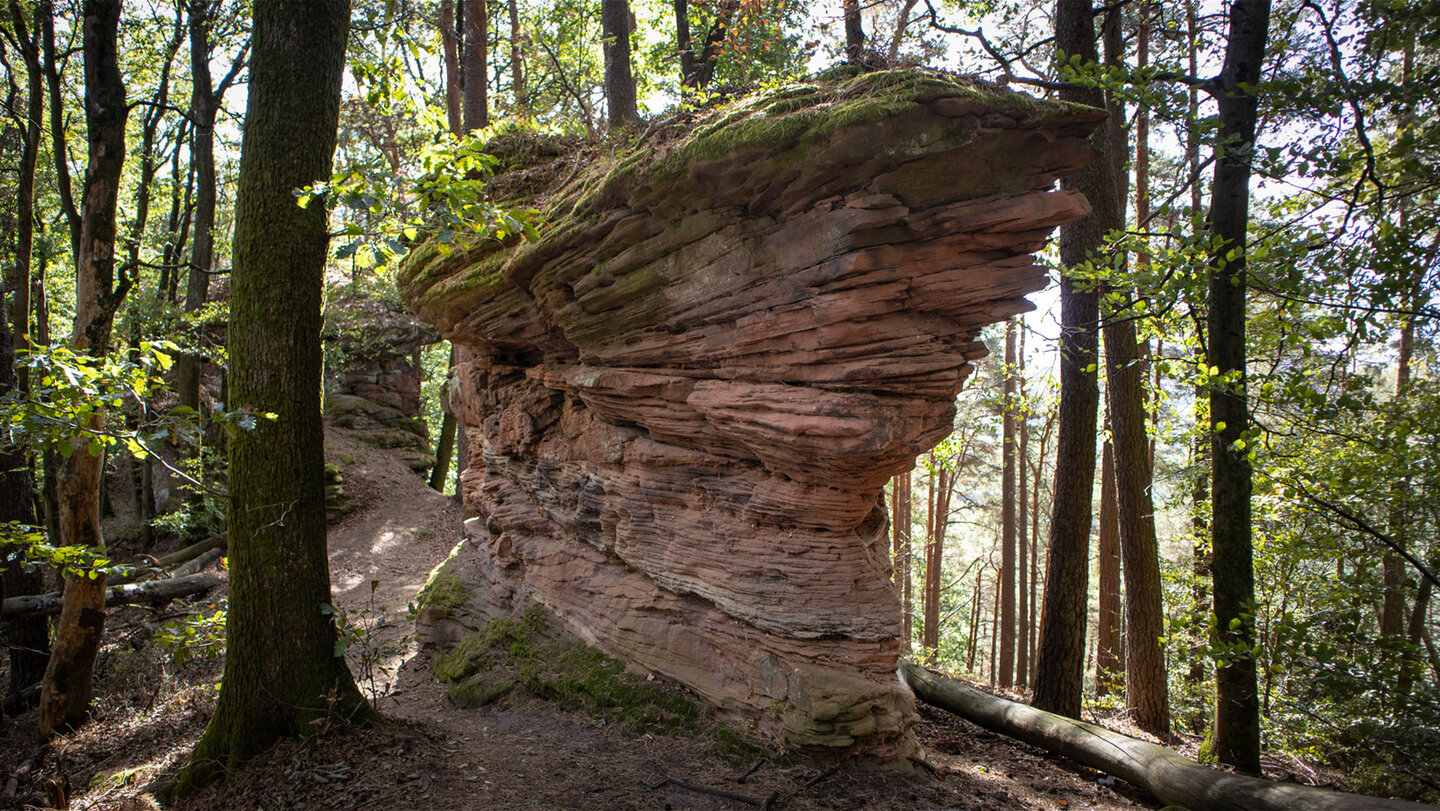 Pilzförmiger Buntsandsteinturm mit feinen, waagerechten Gesteinsschichten und moosbedeckter Kuppe am Dimbacher Buntsandstein-Höhenweg, umgeben von Laub- und Kiefernwald