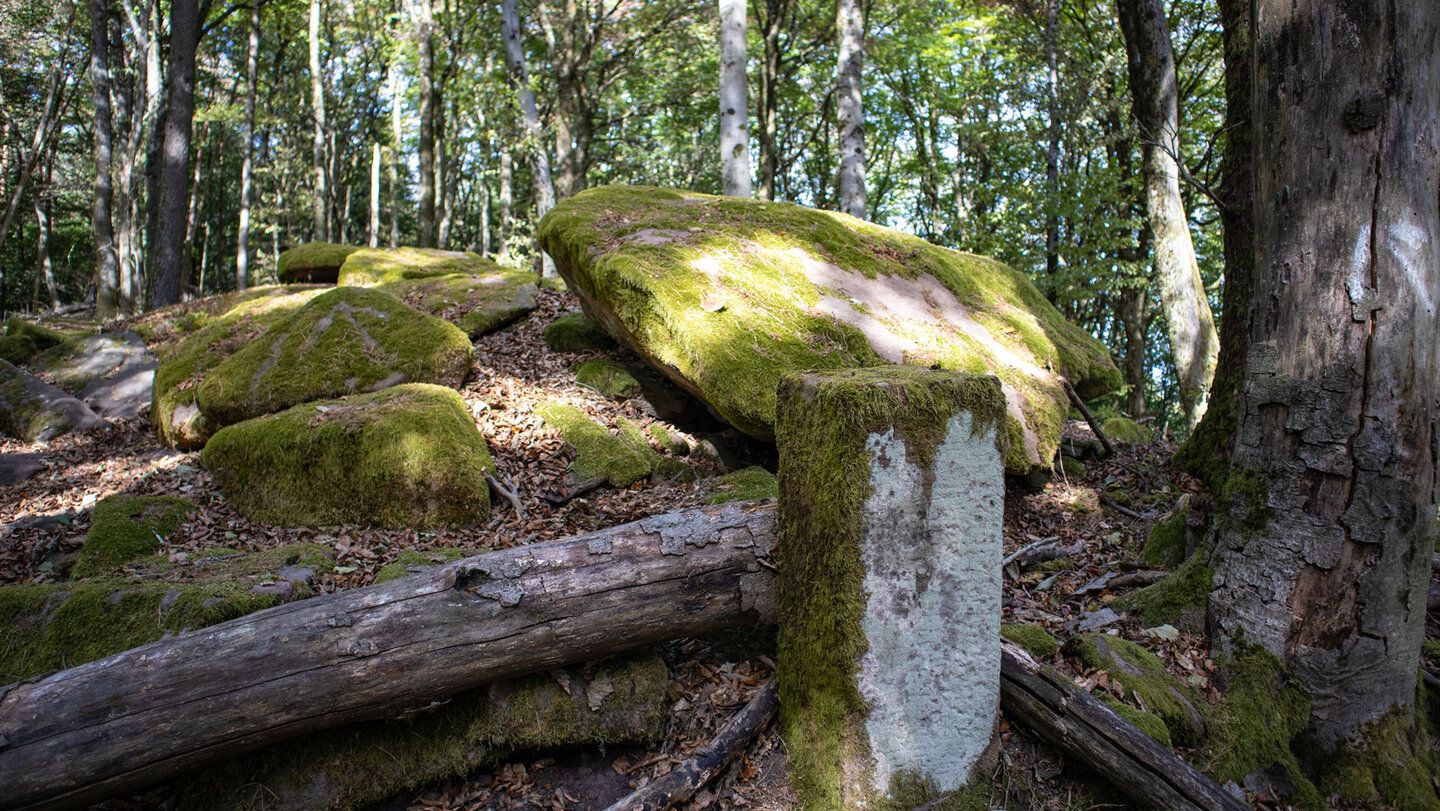 Historischer Grenzstein neben einem liegenden Baumstamm, umgeben von bemoosten Felsen und Herbstlaub am Kammweg