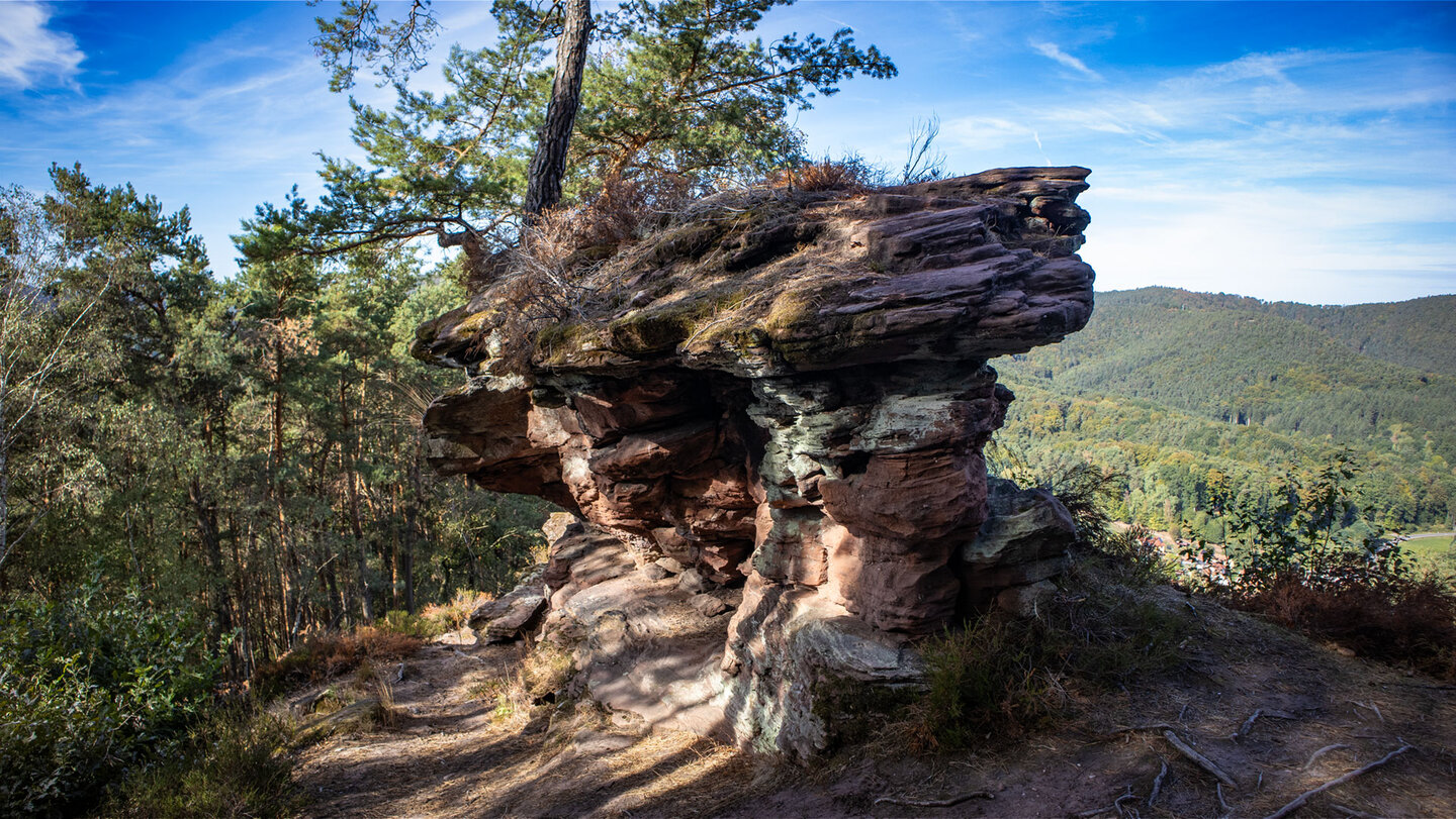 Pilzförmige Buntsandsteinformation am Häuselstein mit Kiefer auf der Kuppe, rechts Blick auf bewaldete Bergrücken des Pfälzerwaldes unter blauem Himmel