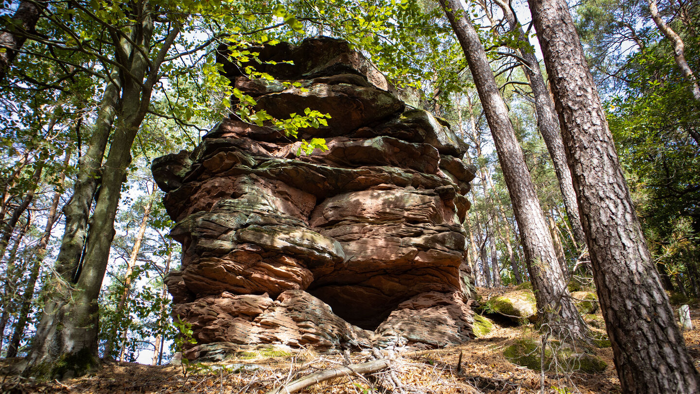 Verwitterter Felsturm am Serpentinenweg bei Schwanheim mit bemoosten Steinen am Boden und hohen Kiefernstämmen rechts im Bild