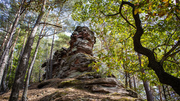Verwitterter, rötlich geschichteter Buntsandsteinturm im Mischwald bei Schwanheim, rechts eine knorrige Eiche mit gelb-grünem Laub