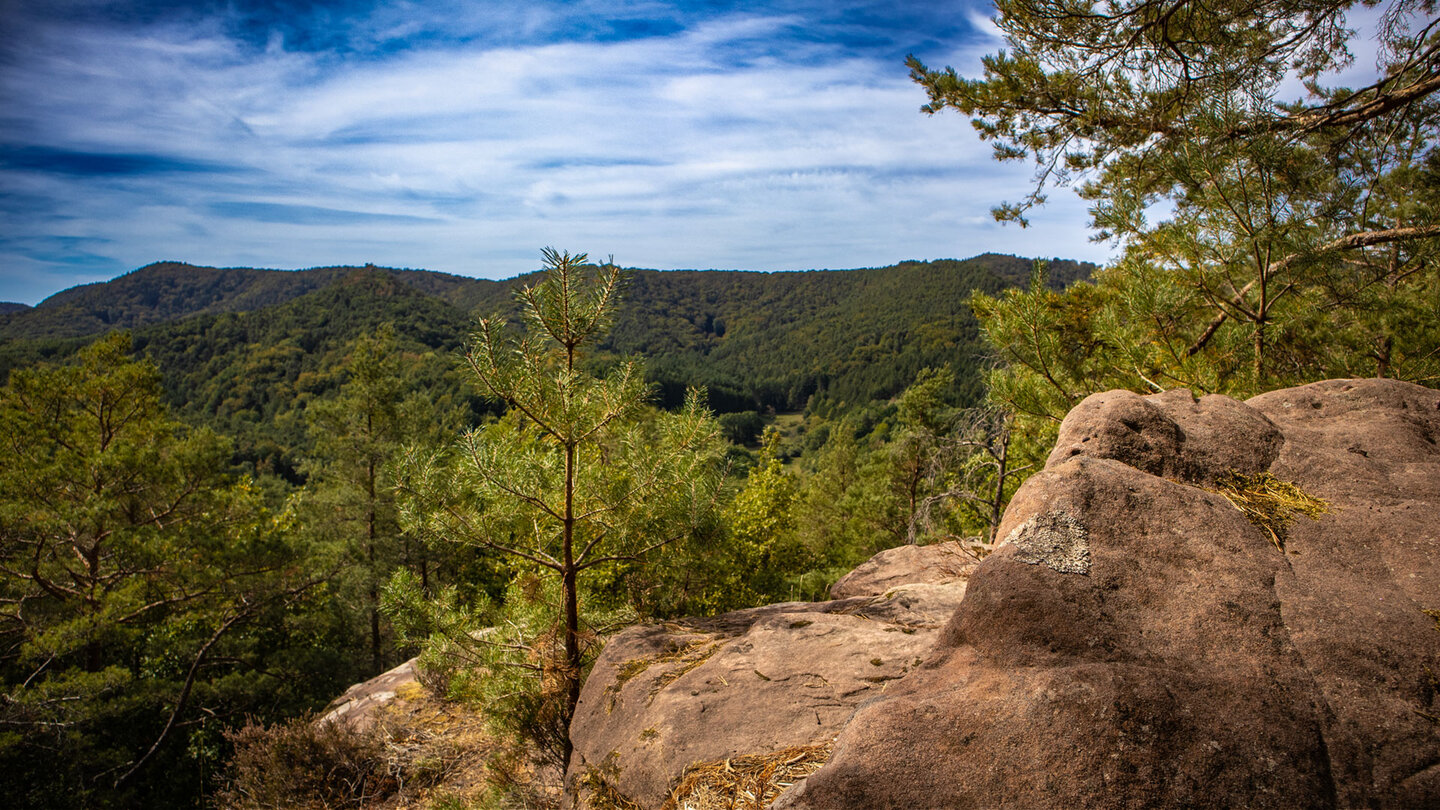 Rundlich verwitterte Buntsandsteinfelsen im Vordergrund mit junger Kiefer und Blick über das bewaldete Tal zwischen Darstein und Schwanheim