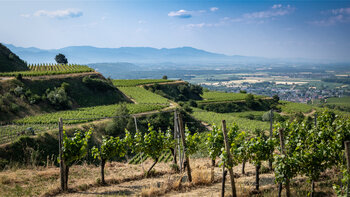 Panorama vom Kreuzenbuck