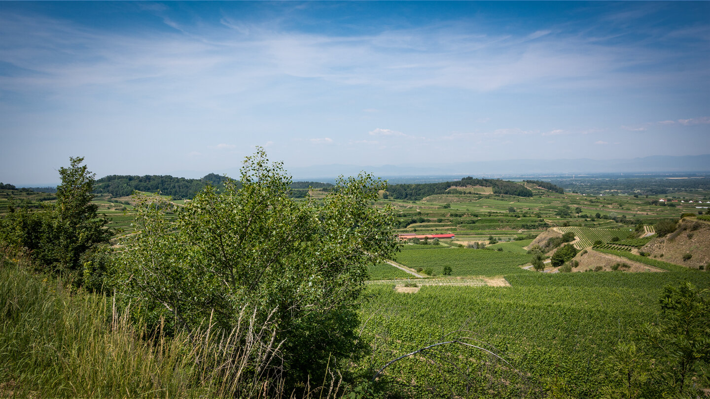 Panorama über Kaiserstuhl und Rheinebene