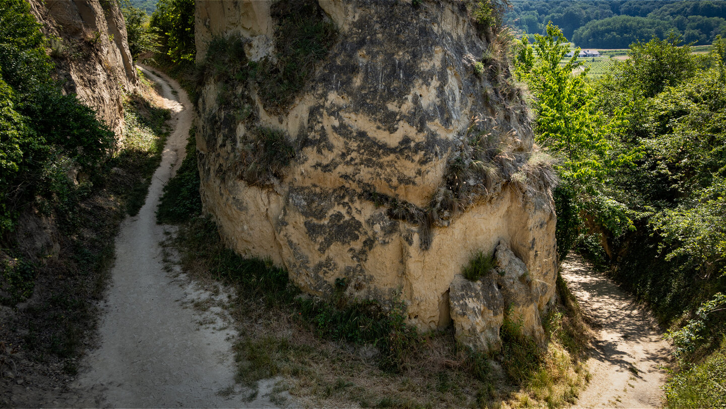Lösshohlweg Eichgasse bei Bickensohl