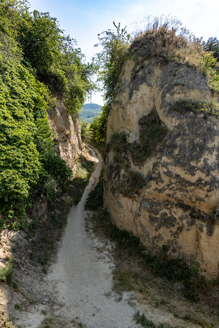 Lösswände am Hohlweg Eichgasse