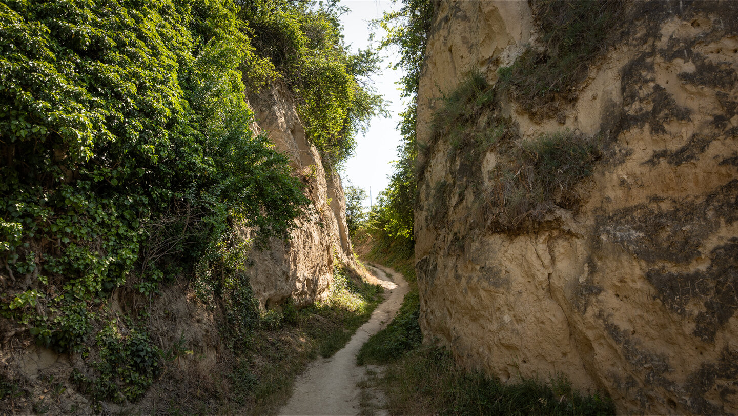 Lösshohlweg Eichgasse bei Vogtsburg im Kaiserstuhl