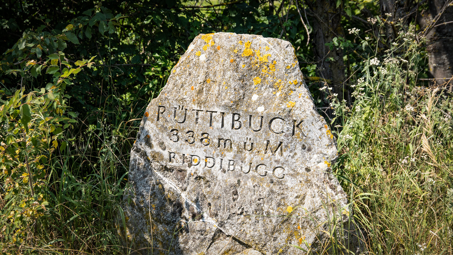 am Rüttibuck