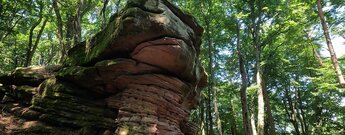 Buntsandsteinfelsen auf dem Immersberg im Wasgau