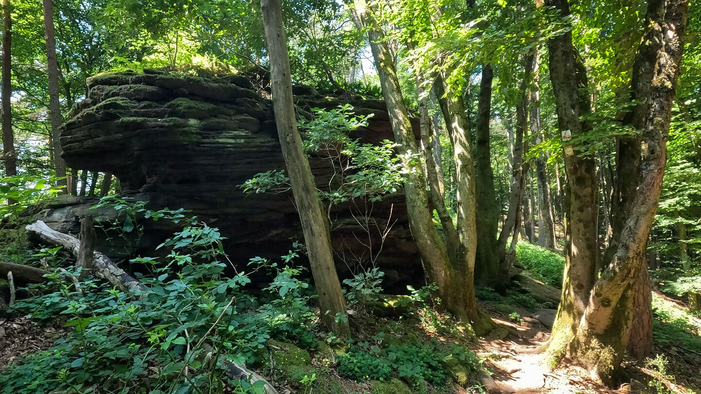 Felsformationen am Immersberg im Pfälzerwald Felsformationen am Immersberg