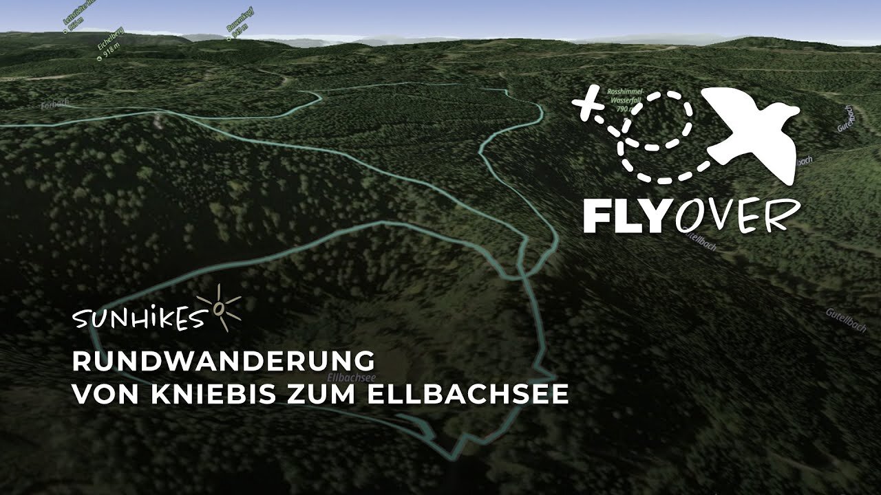 Rundwanderung von Kniebis zum Ellbachsee– Flyover