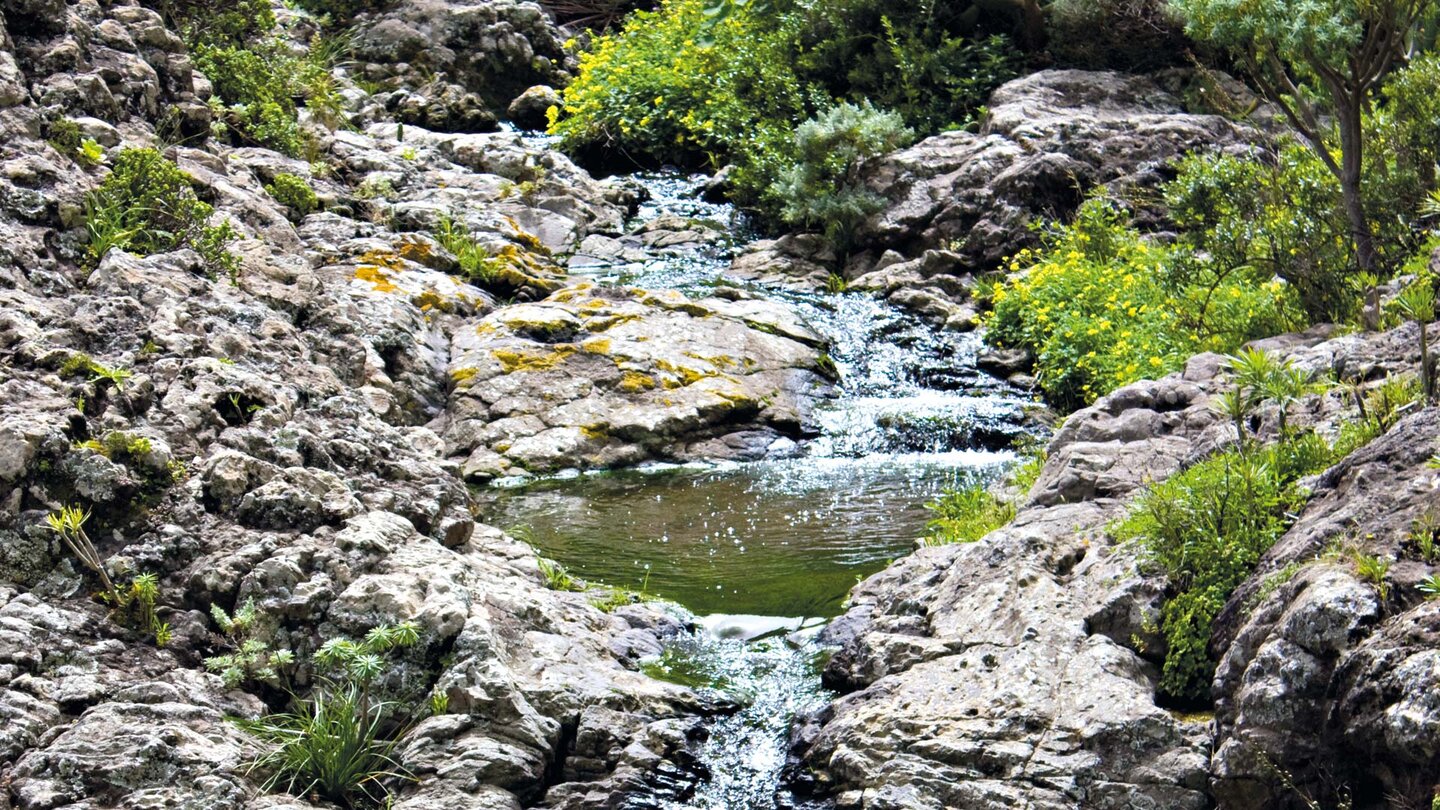nach regenreichen Monaten sind die Wasserbassins in den Schluchten des Anaga-Gebirge gut gefüllt Wasserbassins in den Schluchten des Anaga-Gebirge