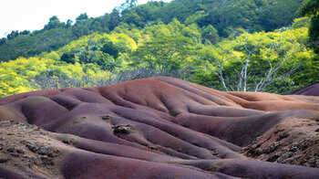 Lavahügel der Seven Coloured Earthsim Chamarel Seven Colored Earth Geopark