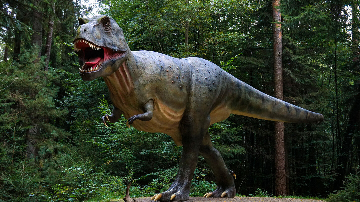 T-Rex im Dinosaurierpark Museum Altmühltal