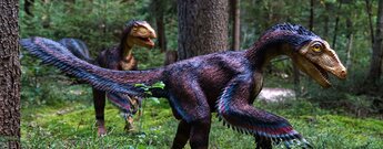 gefiederte Dinosaurier im Dinosaurierpark Museum Altmühltal