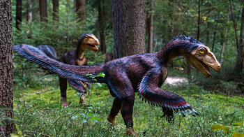 gefiederte Dinosaurier im Dinosaurierpark Museum Altmühltal