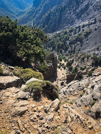 vor dem markierten Wanderweg blickt man in die Samaria-Schlucht