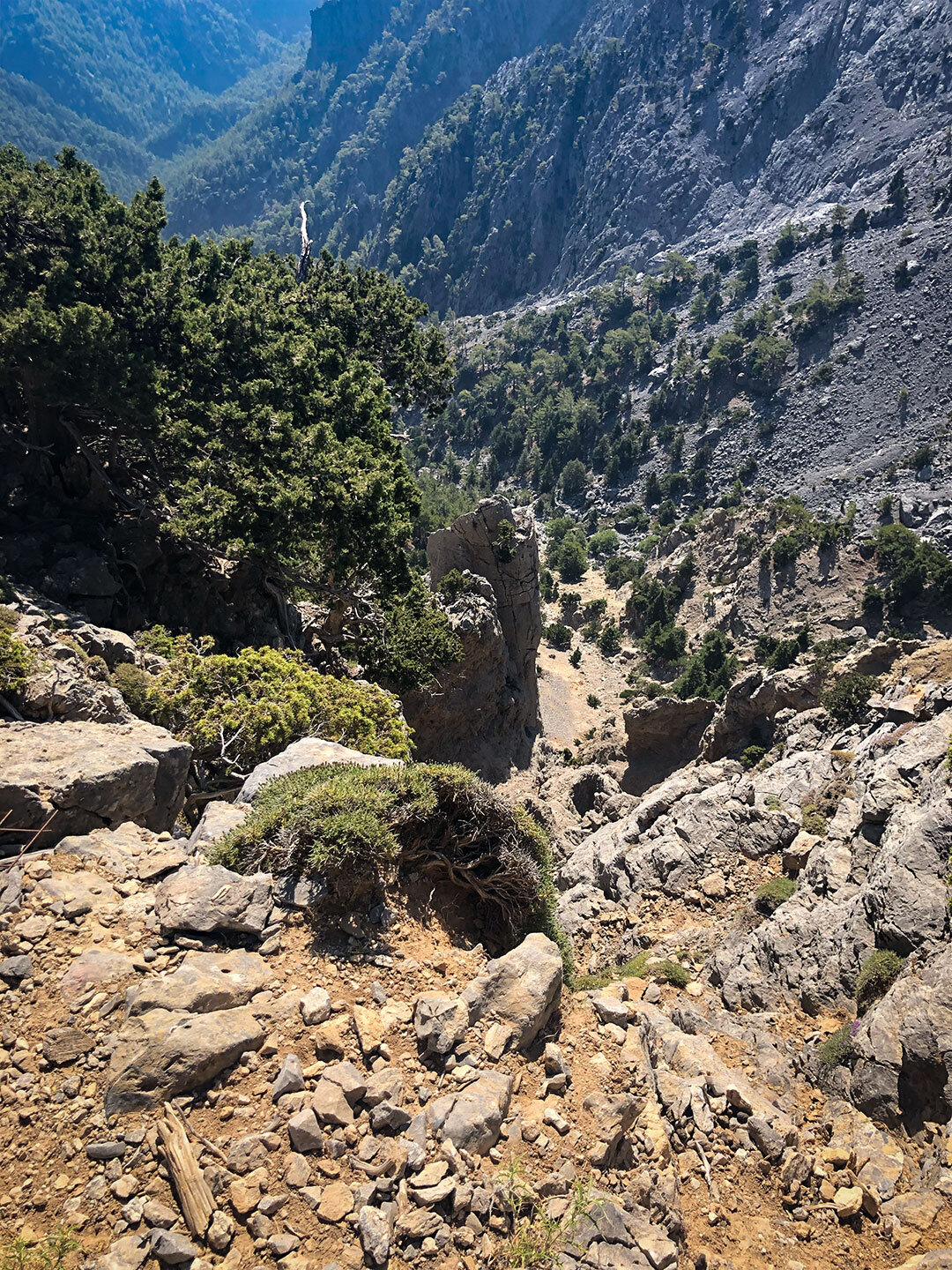 vor dem markierten Wanderweg eröffnet sich ein Blick in die Samaria-Schlucht vor dem markierten Wanderweg blickt man in die Samaria-Schlucht