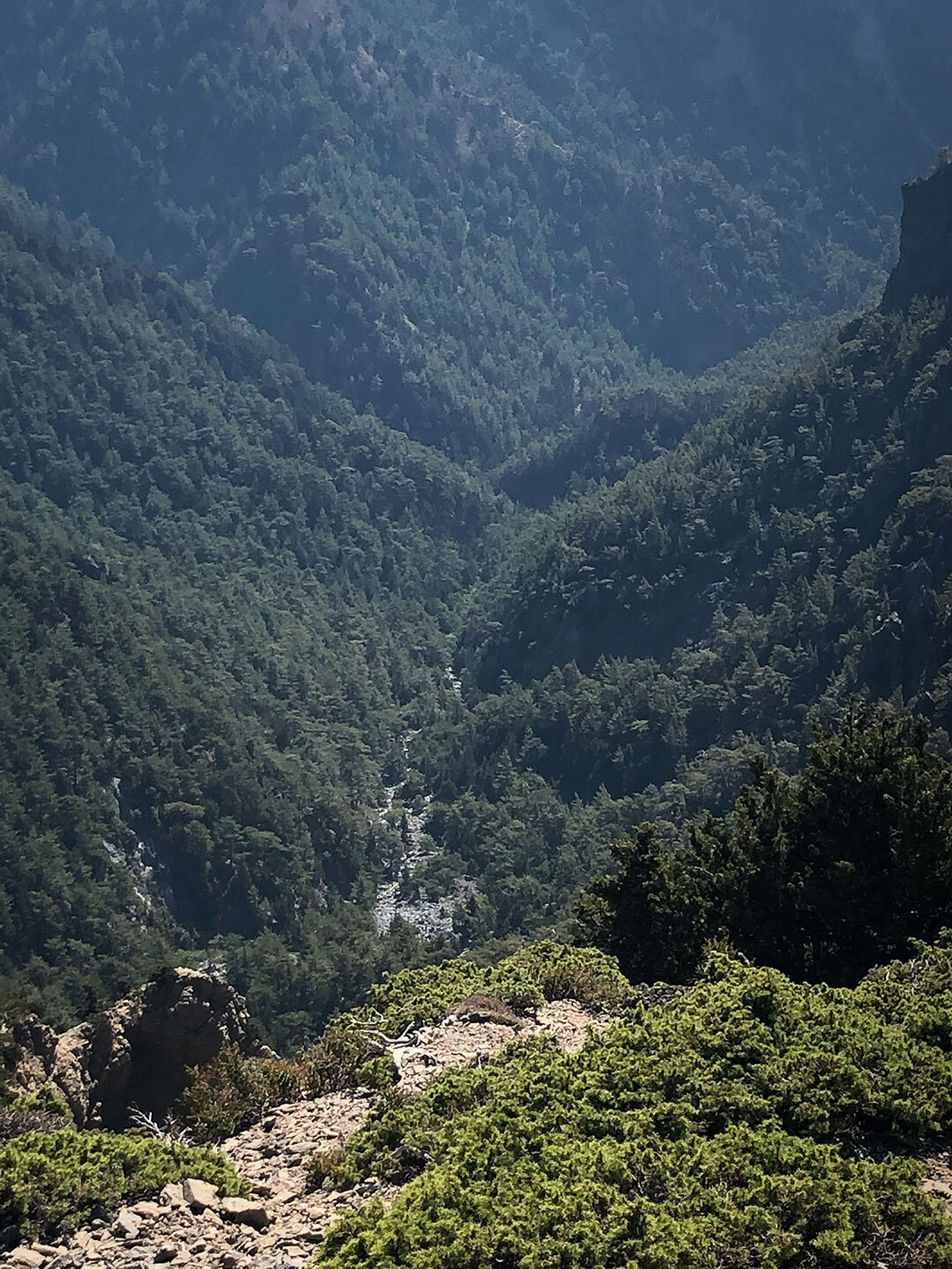 ein Blick in die tiefe Samaria-Schlucht vom Wanderweg E4 auf Kreta Blick in die tiefe Samaria-Schlucht vom Wanderweg E4 auf Kreta