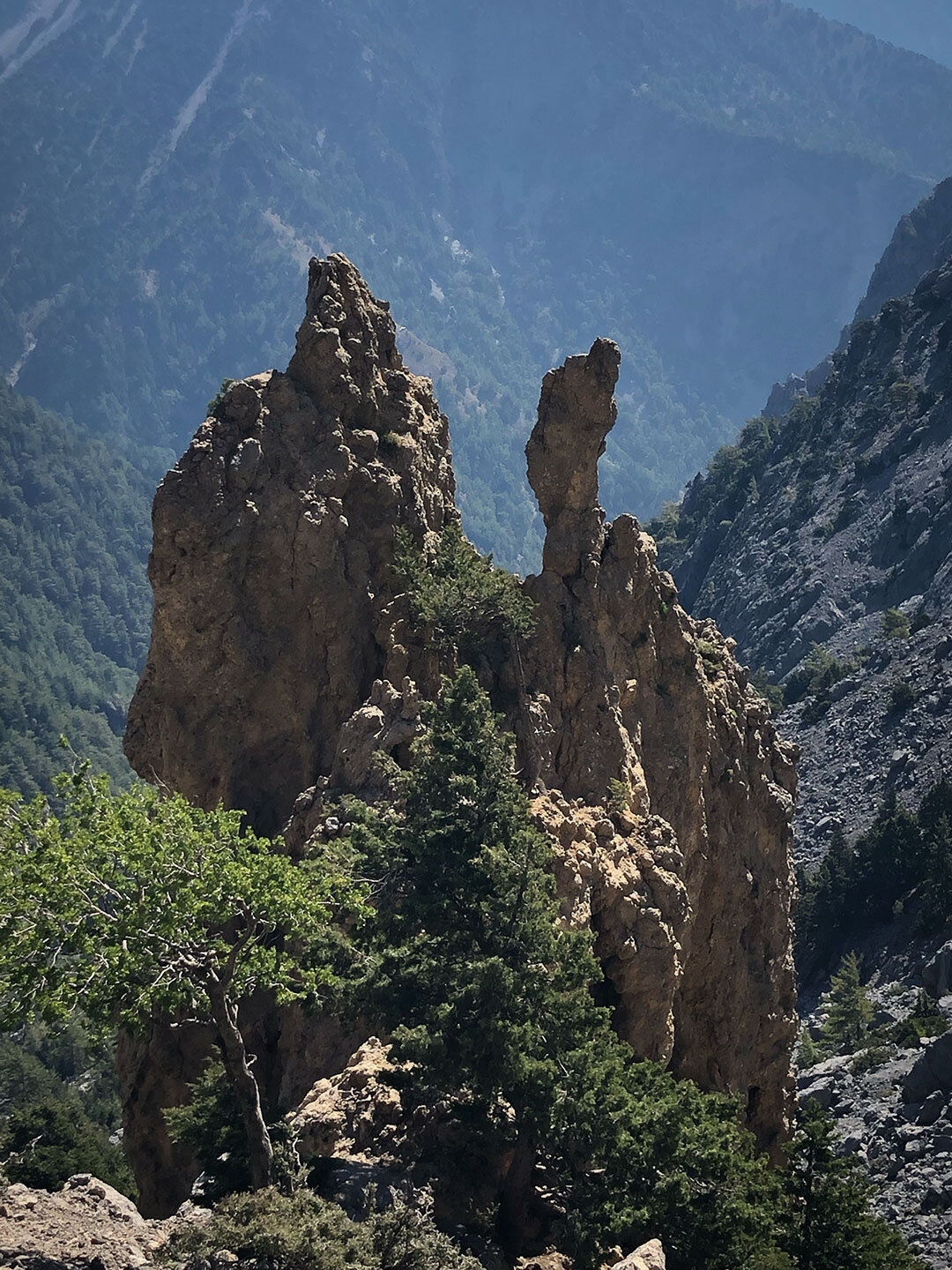 ein Blick vom Wanderpfad auf karstige Felsnadeln Blick vom Wanderpfad auf karstige Felsnadeln