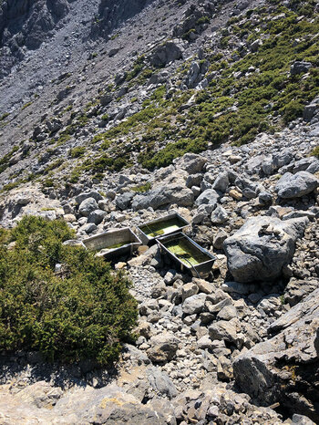 Blick auf die Auffangwannen an der Linosele-Quelle