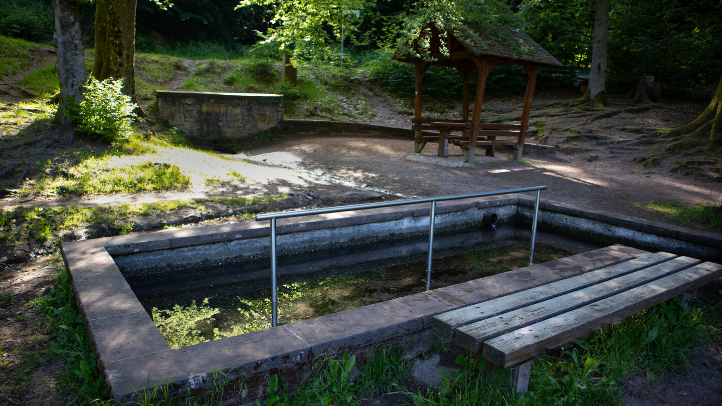 Kneipp-Wassertretanlage an der Queich-Quelle