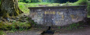 steingefasste Queich-Quelle bei Hauenstein im Pfälzerwald