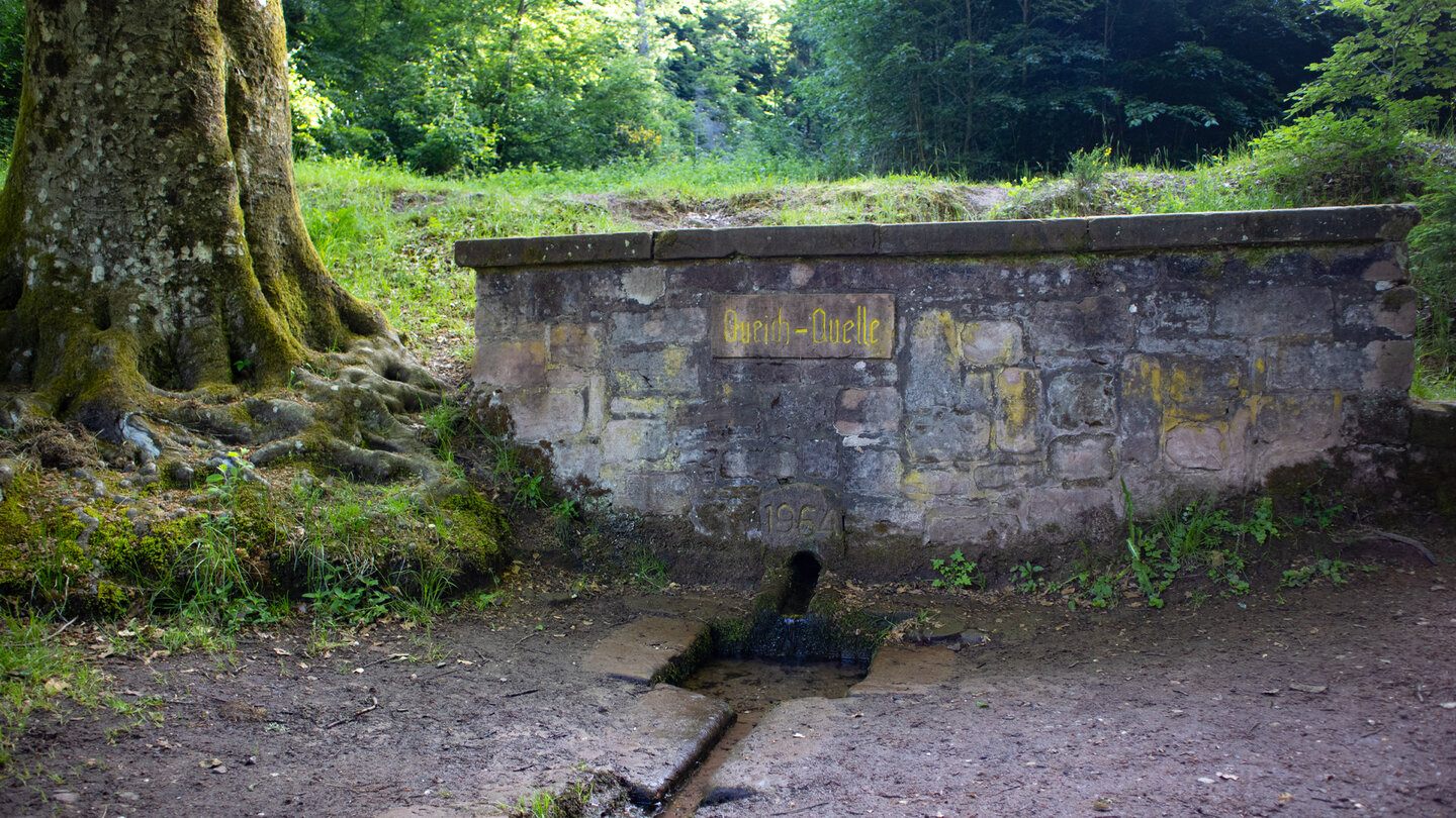 steingefasste Queich-Quelle bei Hauenstein im Pfälzerwald