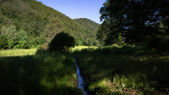 Verlauf der Queich von der Quelle ins Tal
