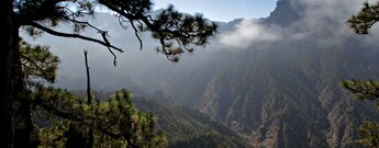 Ausblick vom Mirador de Los Brecitos in die Caldera de Taburiente auf La Palma