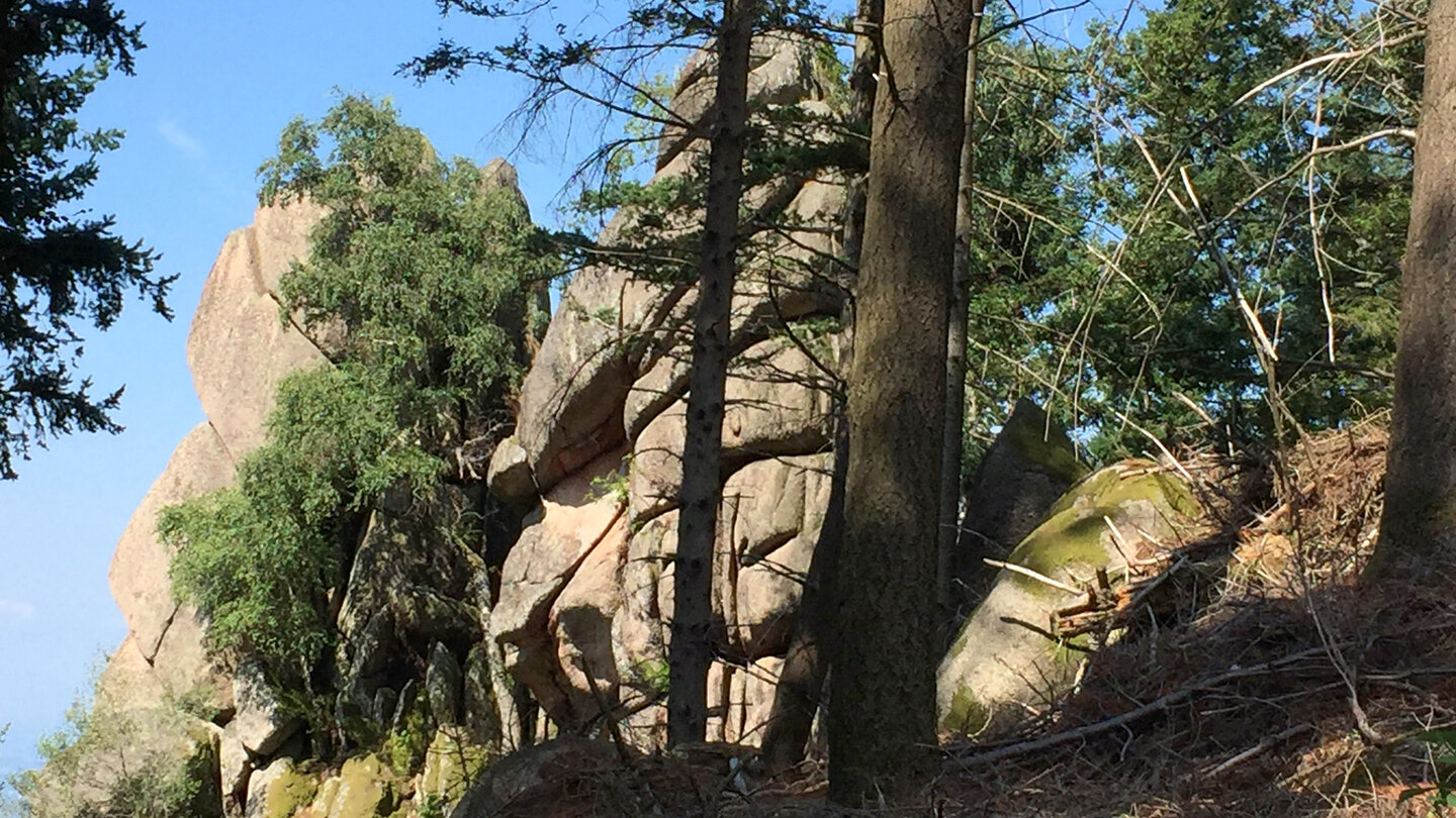 auf dem Weg zum Falkenfelsen