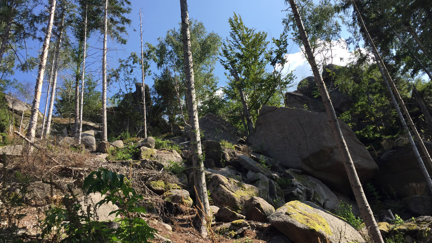 Aufstieg zum Falkenfelsen
