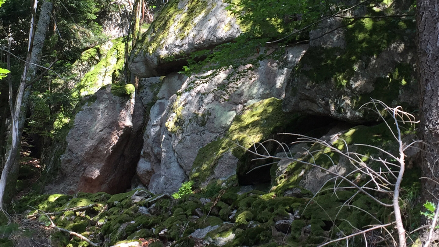 vorbei an beeindruckenden Felswänden geht der Abstieg vom Falkenfelsen