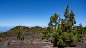 Blick auf den Montaña Sámara vom Rundwanderweg 13 des Teide Nationalpark