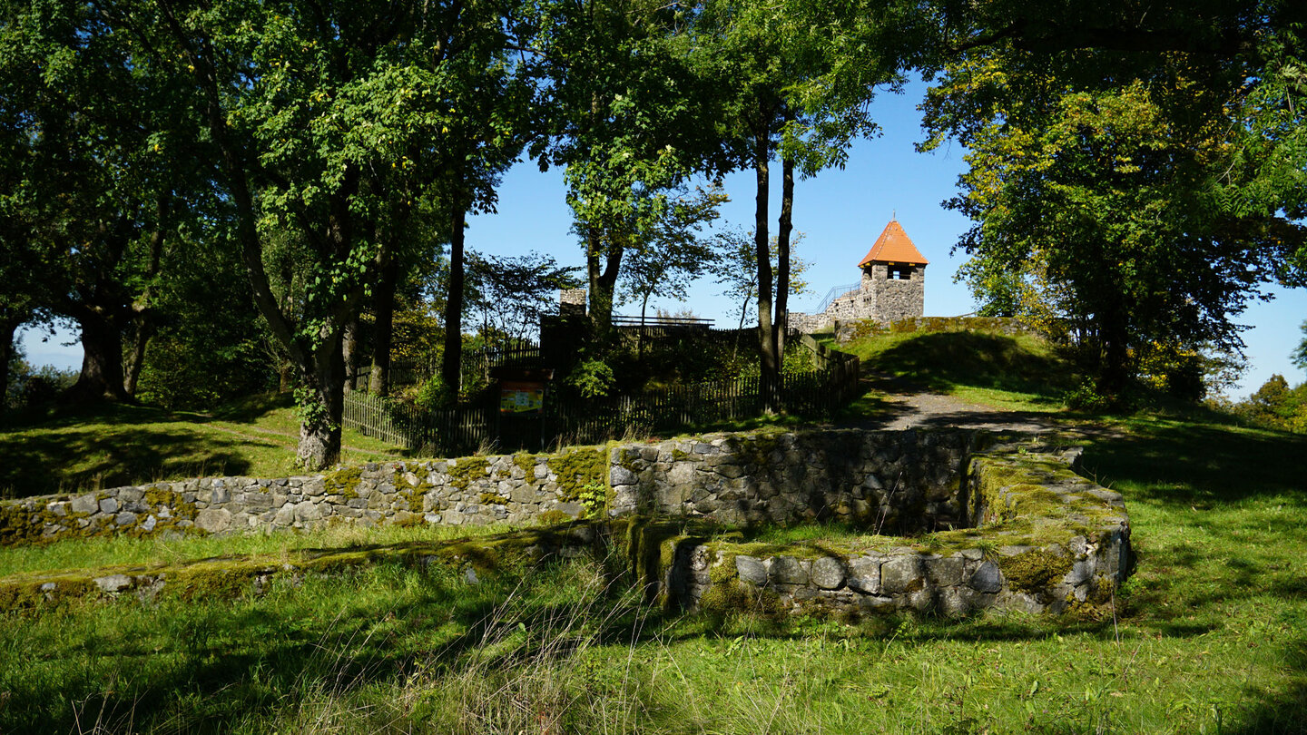Der Vogelsberggarten am Fuße der Ruine der Burg Ulrichstein, botanische Vielfalt vor historischer Kulisse