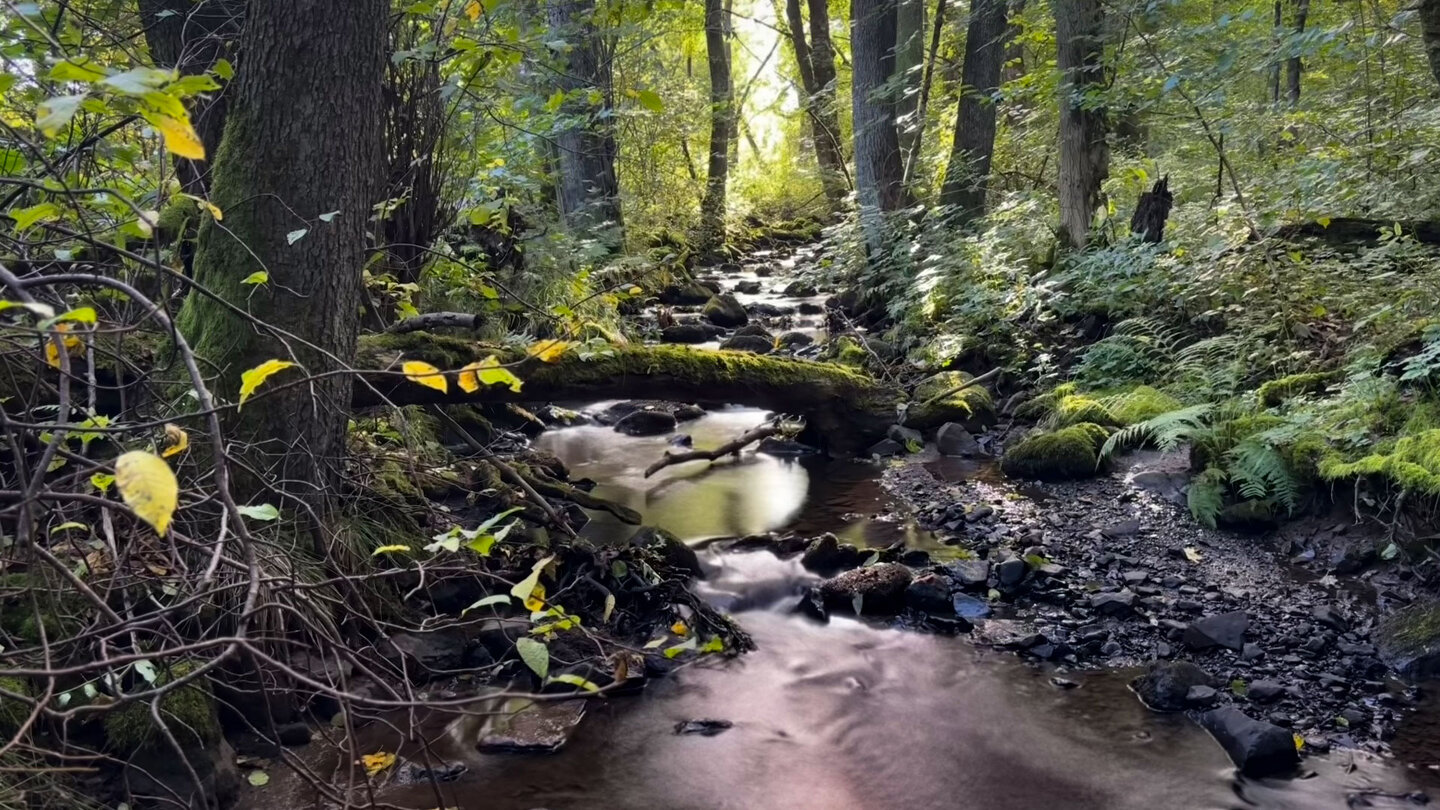Der Gilgbach bei Ulrichstein im Hohen Vogelsberg.