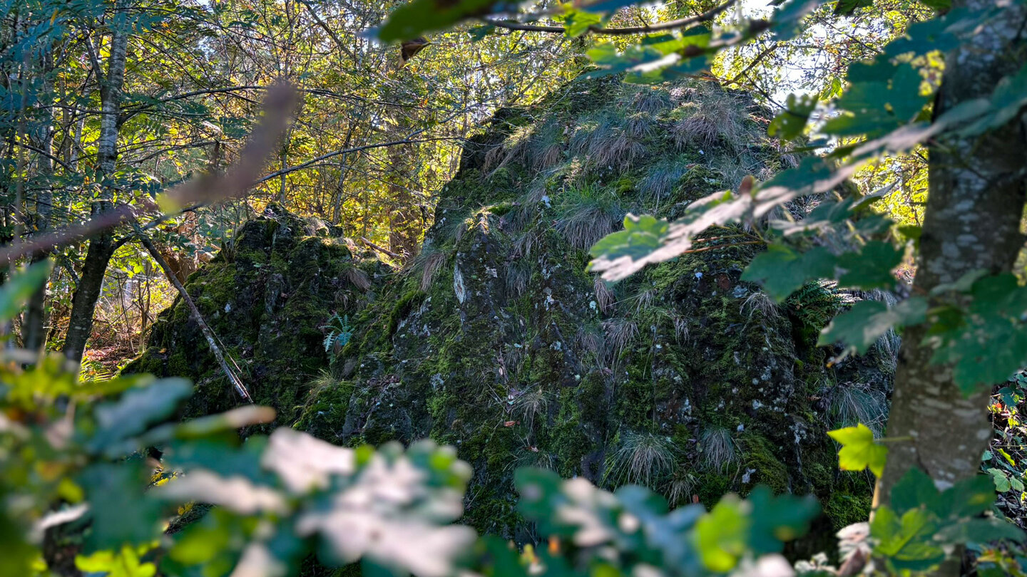 Das Geotop Dicke Steine an der Weitblicktour Ulrichstein im Hohen Vogelsberg.