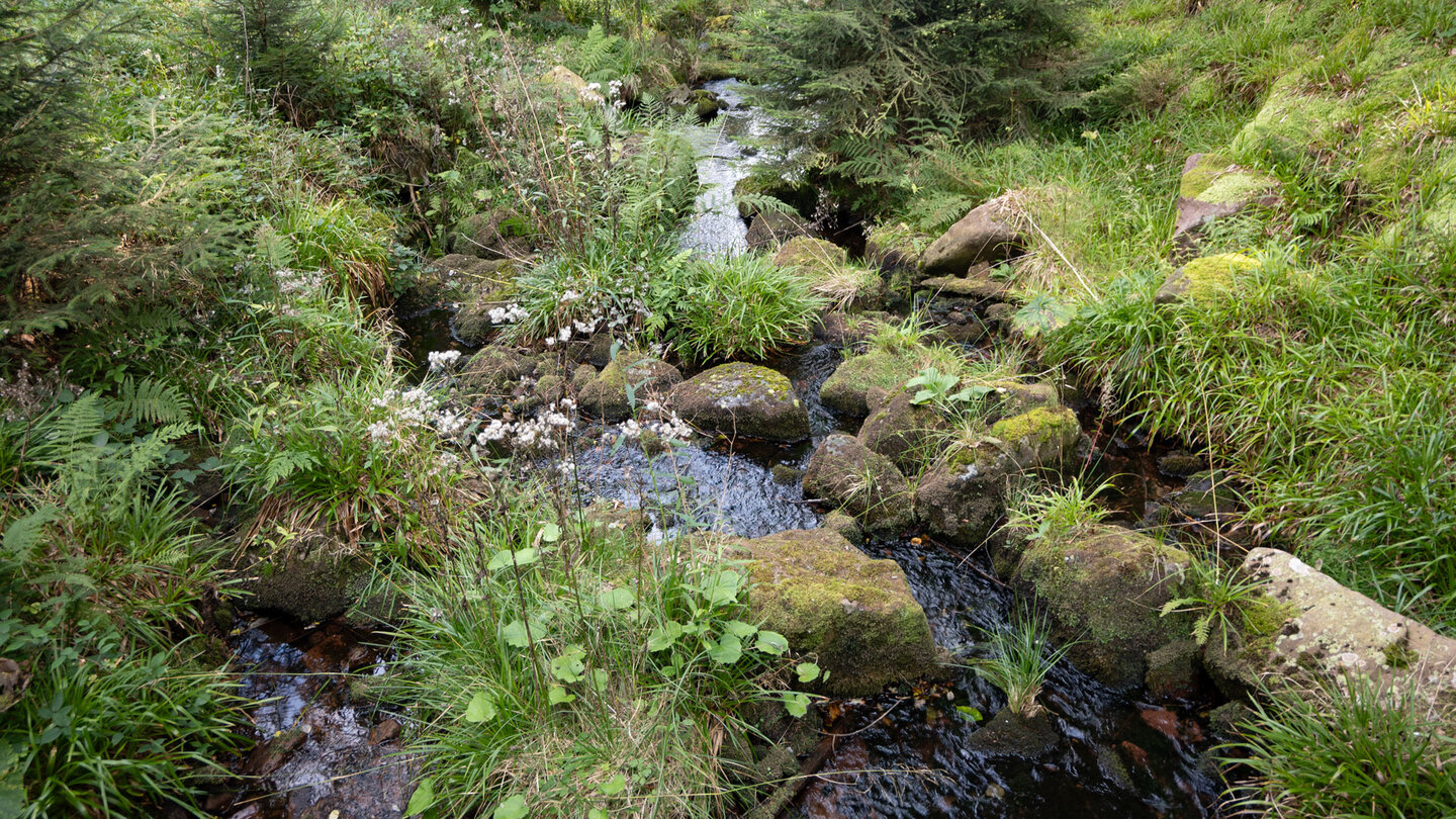 wasserführender Bachlauf der Dürreych wasserführender Bachlauf der Dürreych