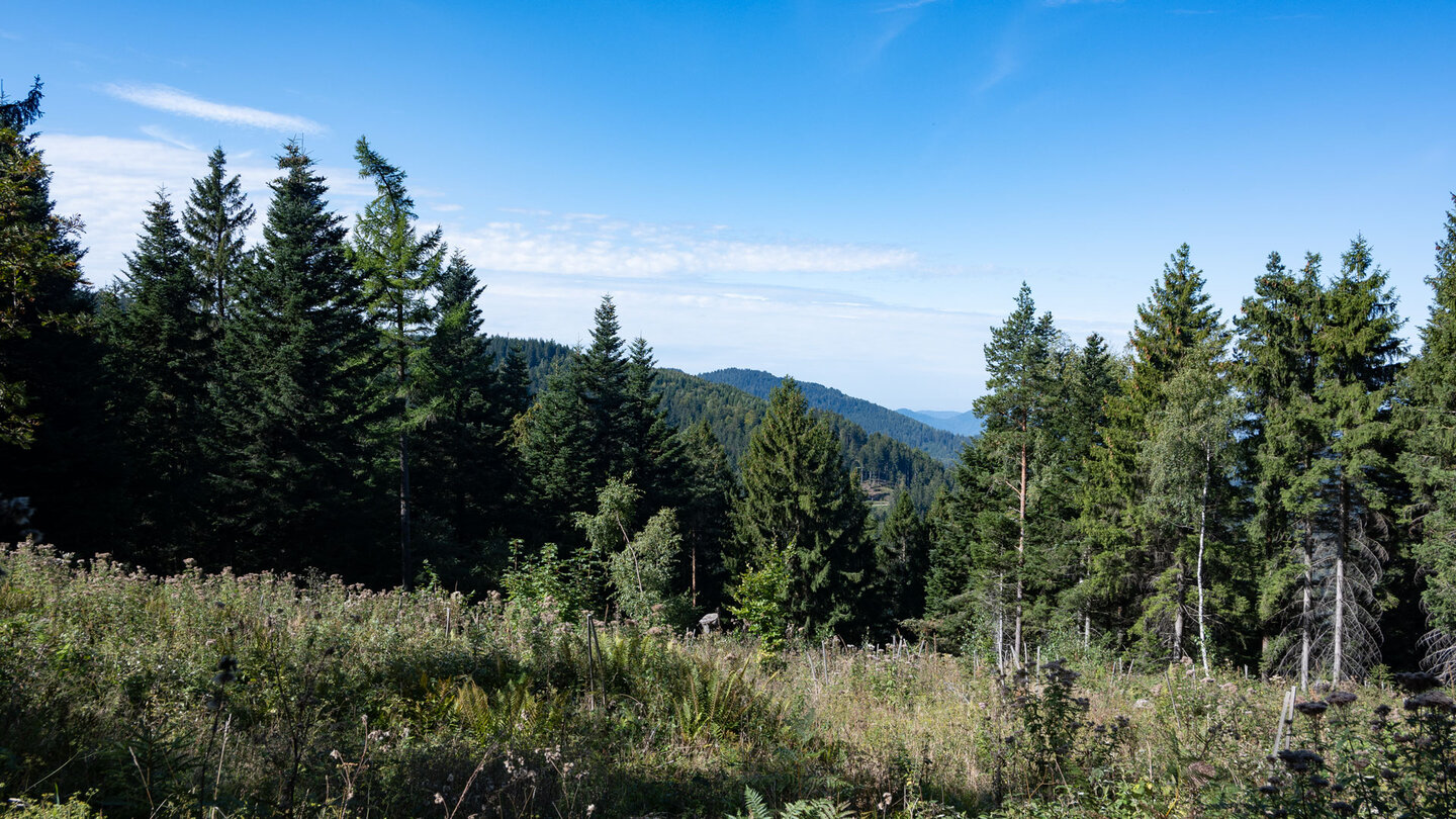 Ausblick entlang des Wanderwegs Richtung Dobel