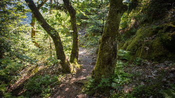 Ottenhöfener Felsenweg auf dem Rappenschrofen
