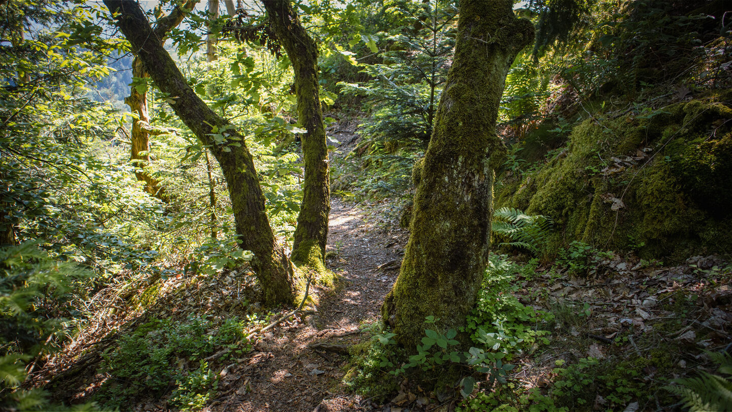 Ottenhöfener Felsenweg auf dem Rappenschrofen