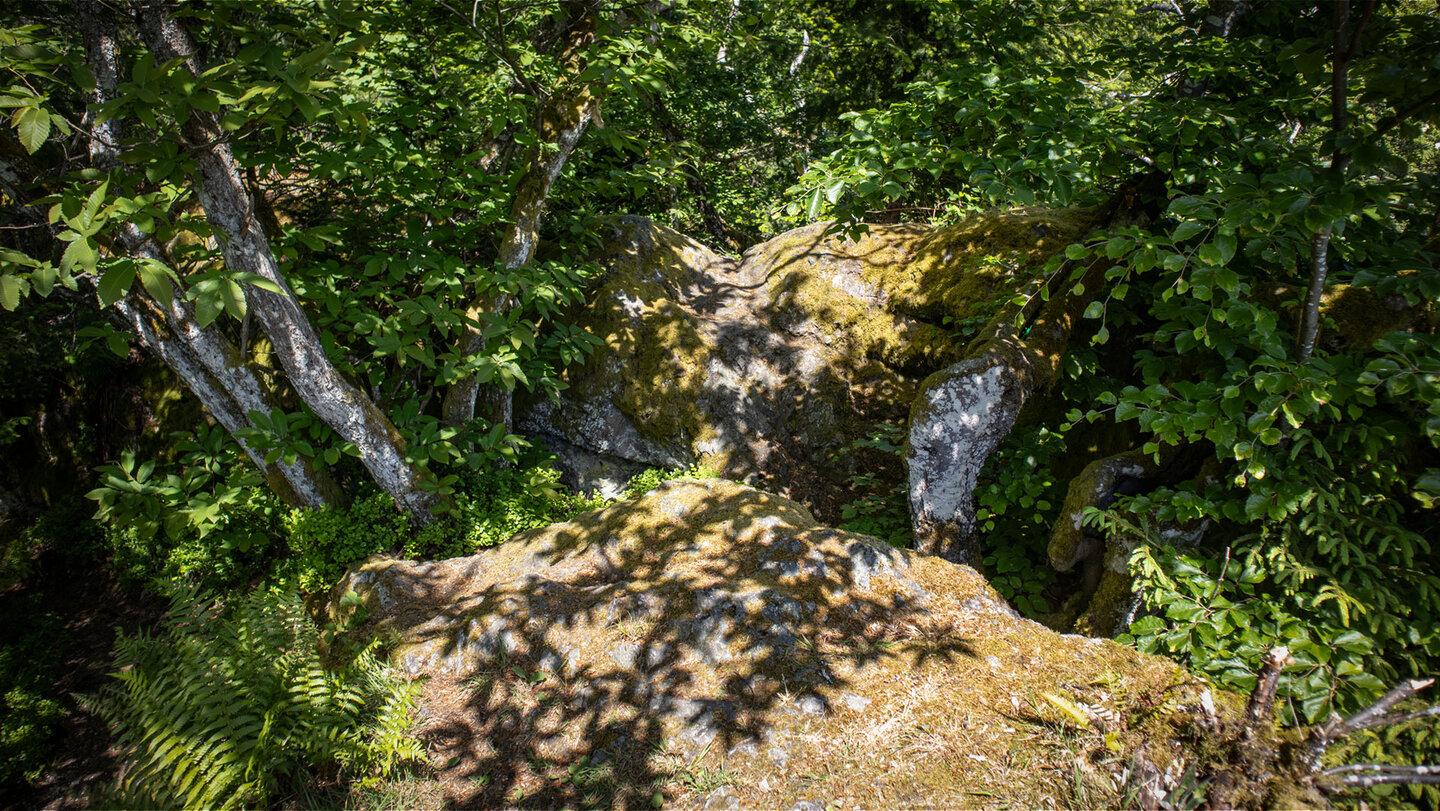 Felsenweg auf dem Rappenschrofen