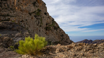 helles Gestein am Risco Blanco