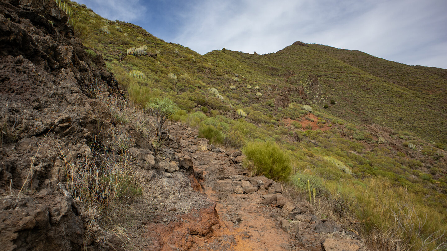 Wanderweg auf dem PR TF 65 nach El Molledo