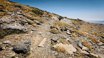Wanderweg durch die Gebirgsvegetation der Sierra Nevada in Andalusien