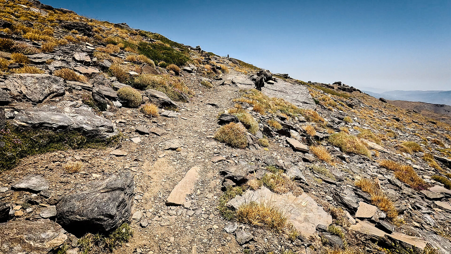 Wanderweg durch die Gebirgsvegetation der Sierra Nevada in Andalusien