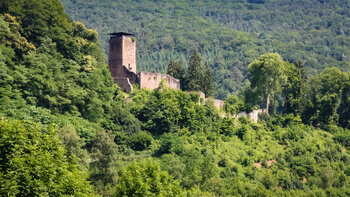 Ruine Hinterburg in Neckarsteinach