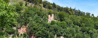 Ruine Schwalbennest bei Neckarsteinach