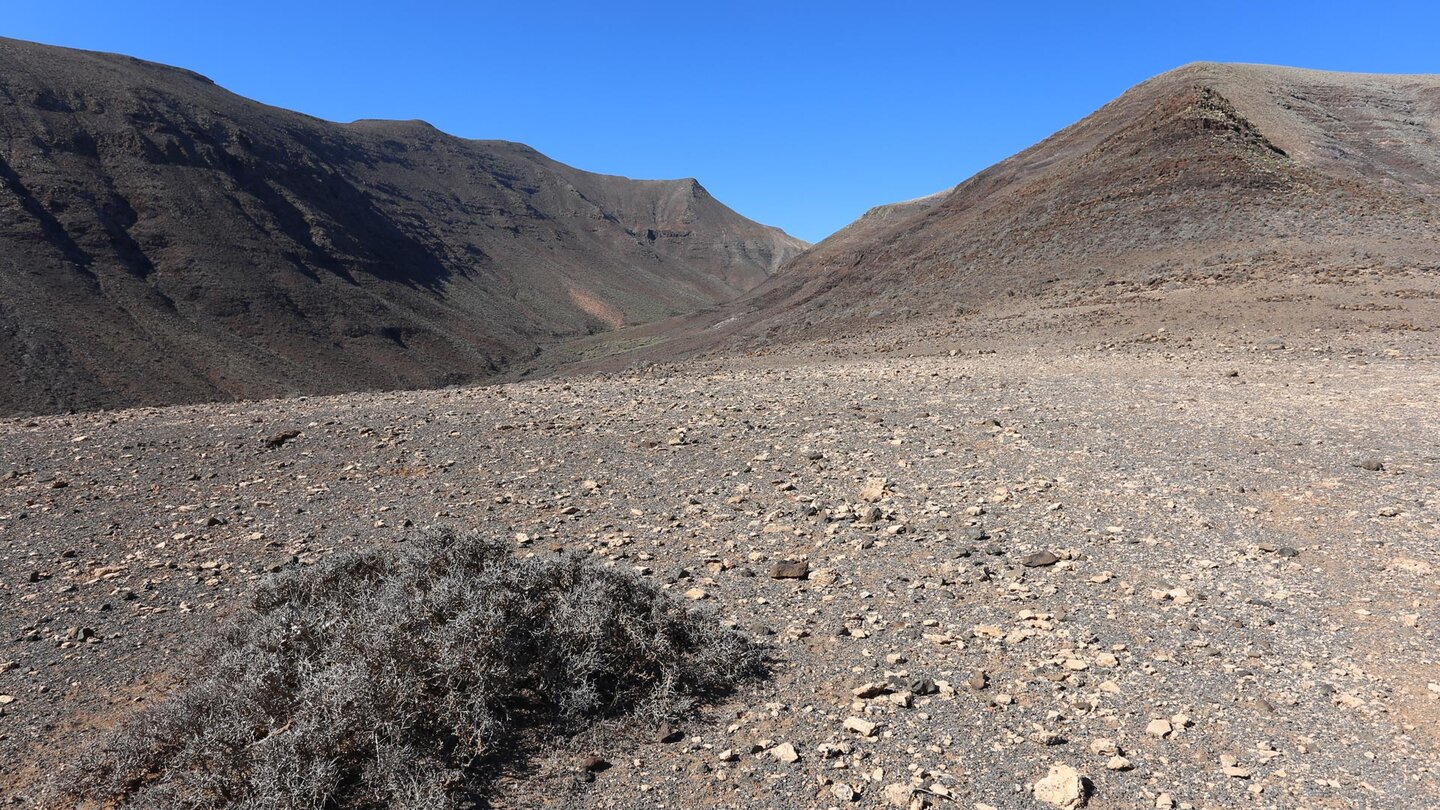 Auf Plateau vor dem Morro del Jorao - Fuerteventura