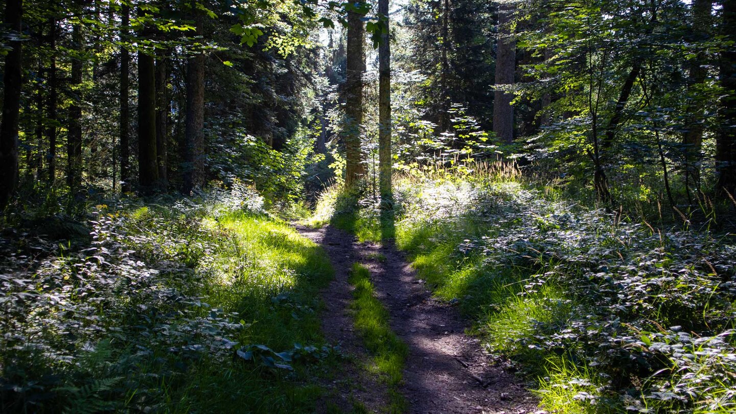 Wanderroute beim Piketfelsen